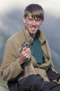 Tourist feeding carrot to tame Alpine marmot (Marmota marmota) on his lap in summer in the Alps |