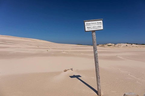 Lacka Dune on a sunny day with a blue sky in the Slowinski National Park, northern Poland on the