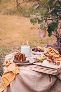 An inviting autumn picnic setup with a moist pumpkin cake, fresh grapes, and a warm drink. A cozy