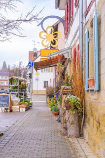 Alley decorated with autumnal flowers and plants. Town architecture and signs visible, Großbottwar,