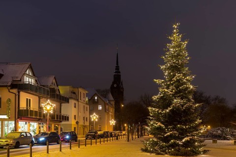 Christmas tree on the snow-covered Wettinplatz, in the background the New Church of St Peter and