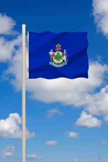The flag of Maine, USA, state, studio