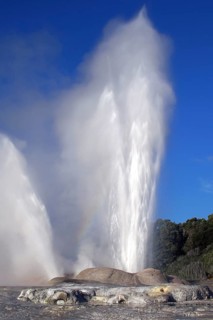 New Zealand, North Island, water fountain, Whakarewarewa, Pohutu Geyser, New Zealand