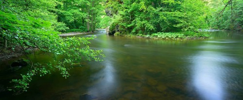 The River Bode in the Bode Valley between Thale and Treseburg, Harz Mountains, Saxony-Anhalt,