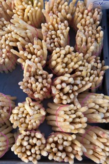 Asparagus from Nienburg at a market stall, Hanover, Lower Saxony, Germany, Europe, Spargel aus