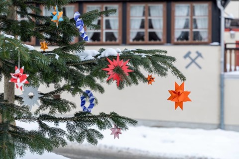 Colourful poinsettias decorate a Christmas tree at Frohnauer Hammer, Annaberg-Buchholz, Ore