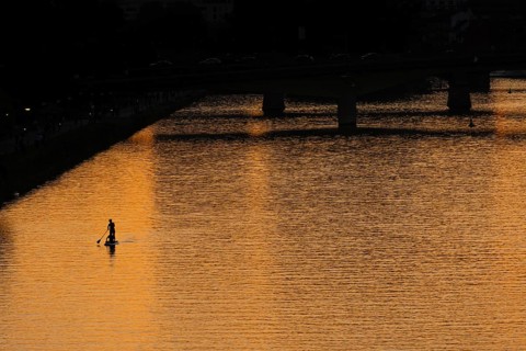 A paddler paddles on the Main at sunset in Frankfurt, Frankfurt am Main, Hesse, Germany
