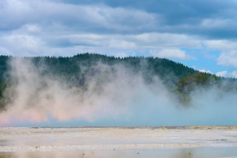 Steam hovers over a landscape of water and forests, under an overcast sky, Champagne Pool thermal
