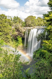 Waterfall of Rainbow Falls with rainbow in dense forest, Kerikeri, New Zealand, Oceania