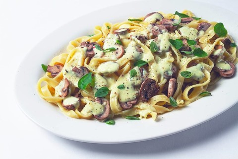 Fettuccine with champignons, basil, in cream sauce, homemade, no people