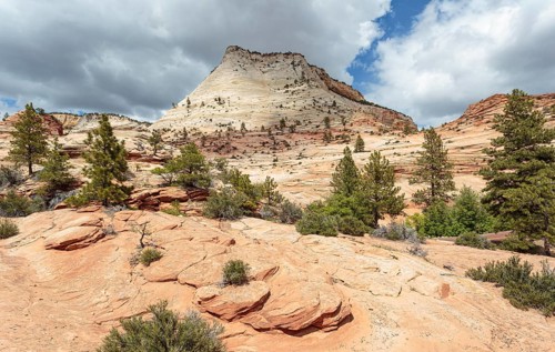 Patterns of erosion on the rock formations in Zion National Park, Utah
