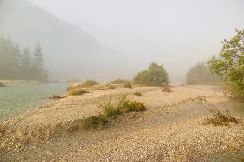 Isar valley nature conservancy area. The wild Isar river flows through its gravel bed past