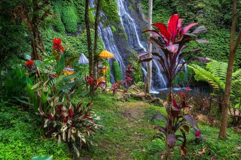 Banyumala twin waterfalls, club lily (Cordyline fructosia), tropical plant, flower, red, waterfall,