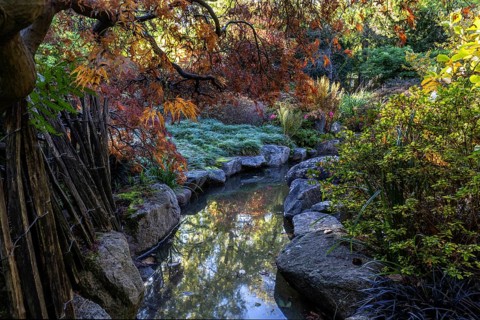 Plants, autumn colours, picket fence, stream, Japanese Garden, Zoological City Garden, Karlsruhe,