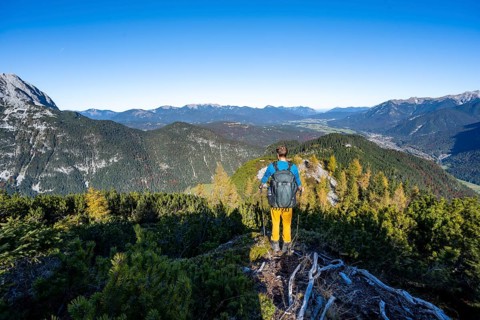 Mountaineer on a hiking trail between mountain pines, autumnal mountain landscape, ascent to the