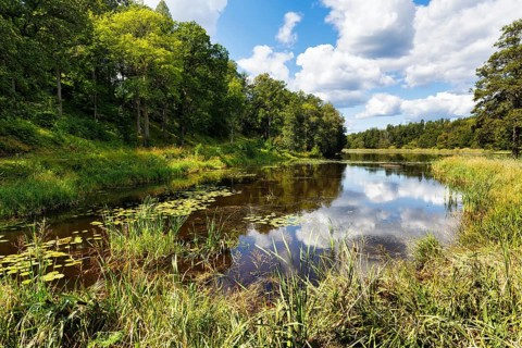 Picturesque lake, idyllic landscape near Stenhammar Castle, Flen, Södermanland County, Sweden