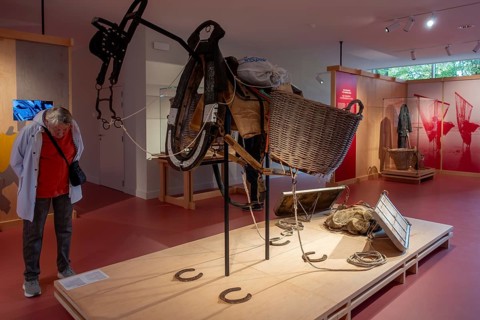 Shrimper's equipment for draught horse with dragnet in the NAVIGO Visserijmuseum, fishery museum at