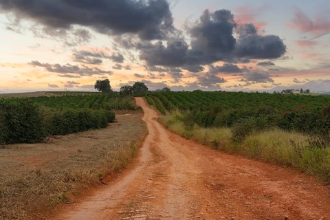 Red soil road, Serra da Canastra landscape, Minas Gerais state, Brazil