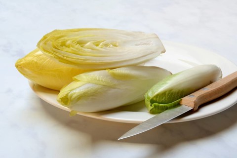 Chicory, chicory salad on plate with knife