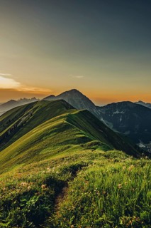 Hiking tour on the Hönig mountain in the Lechtal valley near Berwang in Tyrol, Austria
