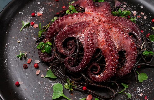 Octopus with black spaghetti, pasta, spices and herbs, top view, no people