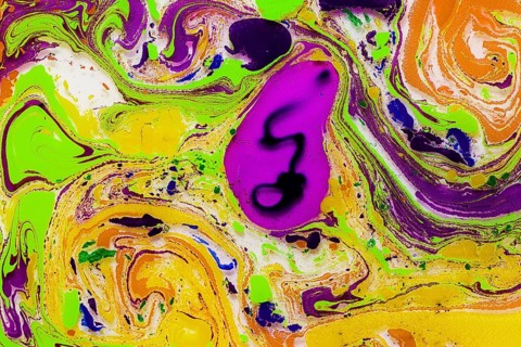 A vivid abstract pattern created by marbling techniques, featuring swirling colors such as purple,