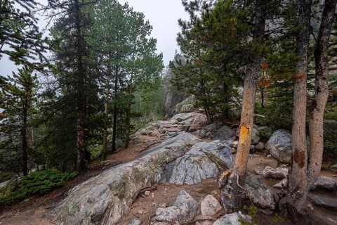 A serene hiking trail winds through a misty forest in Colorado, showcasing rocky outcrops and tall