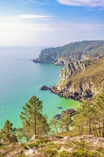 Scenics view at a rocky coastline with turquoise water in the sea bay and pine trees on a slope,