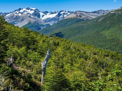 View towards glacier Mosco, seen from hiking path above village Villa O' Higgins, Patagonia, Chile