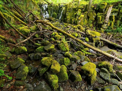 Teufelsmühle waterfall on the hill stream the Schwartzbach, surrounded by summer vegetation, in the