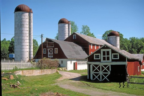 Dairy farm with silo towers, Marksborow, New Jesey, USA