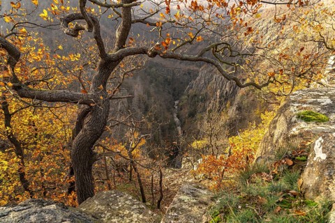 View from the Rosstrappe into the Bode Valley in the Harz Mountains near Thale, Saxony-Anhalt,