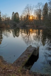 Small pond with footbridge in the primeval forest of the Wildeshauser Geest, Emstek, Oldenburg,
