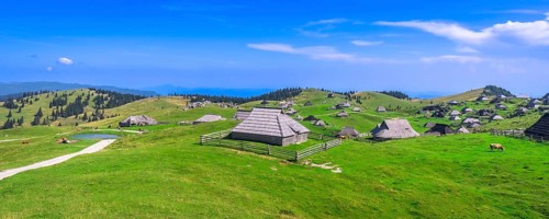 Traditional wooden shepherd's huts scattered across the picturesque velika planina plateau, framed