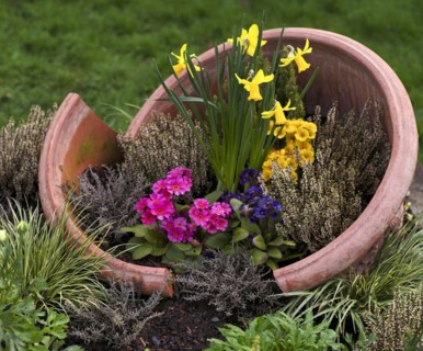 Easter decoration, daffodils, primroses, heather, clay pot, Baden-Württemberg, Germany