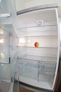 Almost empty fridge with just one apple, Diet, Losing weight
