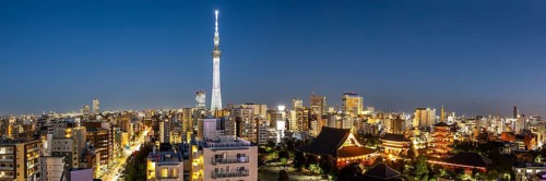 Tokyo SkyTree tower with the skyline skyscrapers panorama at night in Tokyo, Japan