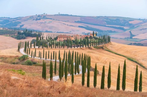 Typical Tuscan landscape in Crete Senesi with hills, trees, fields, cypresses and farm road in