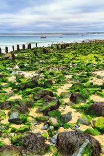 Boulders, seaweed, seaweed, view over St. Ives Bay towards Godrevy, coastline, West Cornwall,