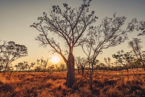 Outback Scenes Australia