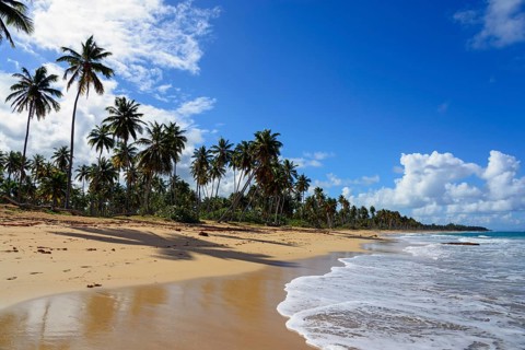 Tropical beach with palm trees under a blue sky with white clouds, Limon beach, El Limón, El Seibo,
