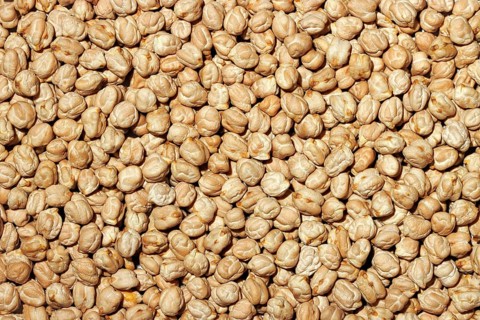 Top view of a full frame of fresh raw chickpeas offering a natural texture and pattern, ideal for