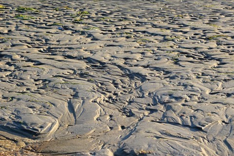 Morning atmosphere on the beach of the Baltic Sea, September, Usedom, Mecklenburg-Western