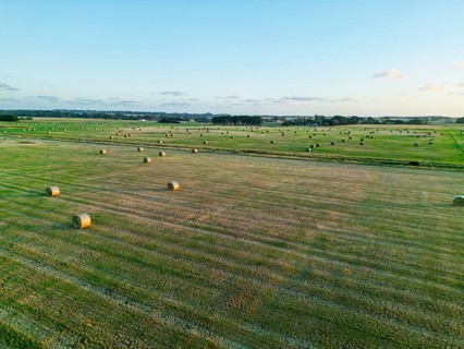 Serene aerial view of numerous hay bales scattered across a vast, lush green field under a clear