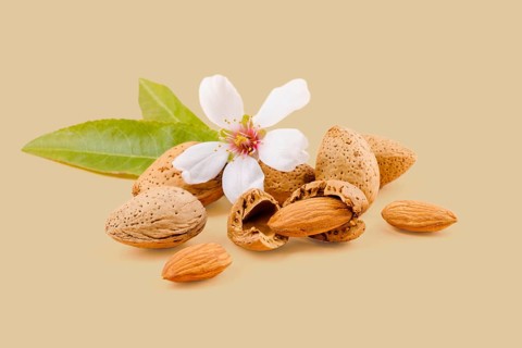 Almond nuts, leaves, and flower showing the seed resting on a beige background create a visually