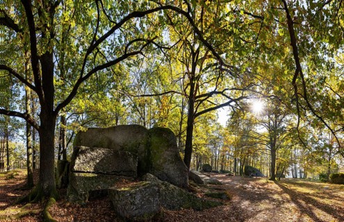 Granite rock Schuldstein, natural monument, Blockheide nature park Park near Gmünd, Waldviertel,