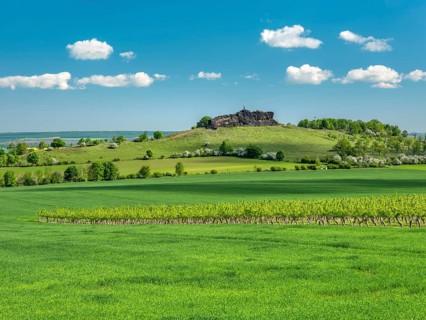 Landscape in the Harz foothills, view over an orchard to the Gegensteine rock formation, part of
