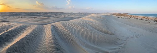 Sunset, white sand dunes in the Khaluf desert, Oman