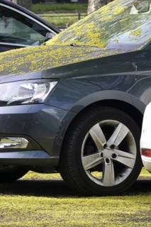Pollen on a car, April, Germany