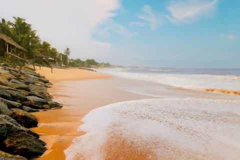 Sri Lanka sandy beach shoreline with gentle waves palm trees coastal huts rocks warm light serene